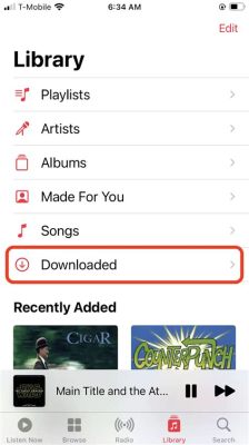 How to Remove Downloaded Music from iPhone and Why Your Cat Might Be Judging Your Playlist